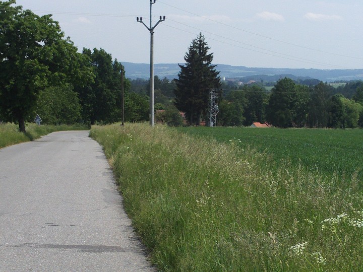 img00005.jpg