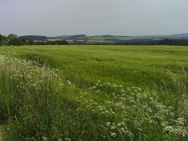 img00012.jpg