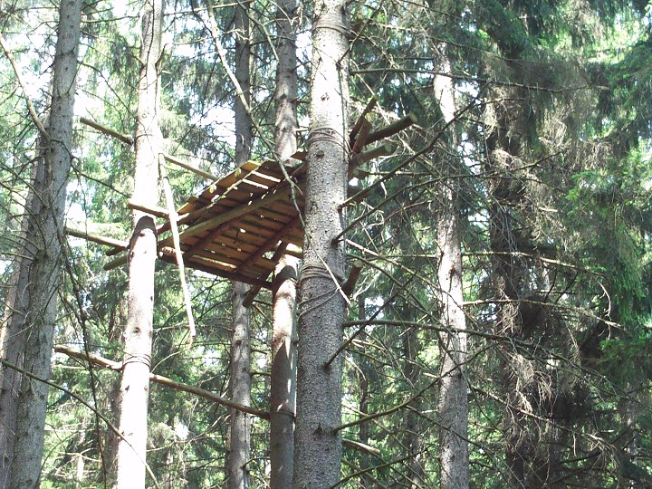 img00046.jpg