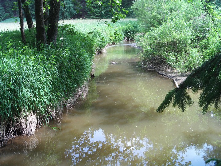 img00063.jpg