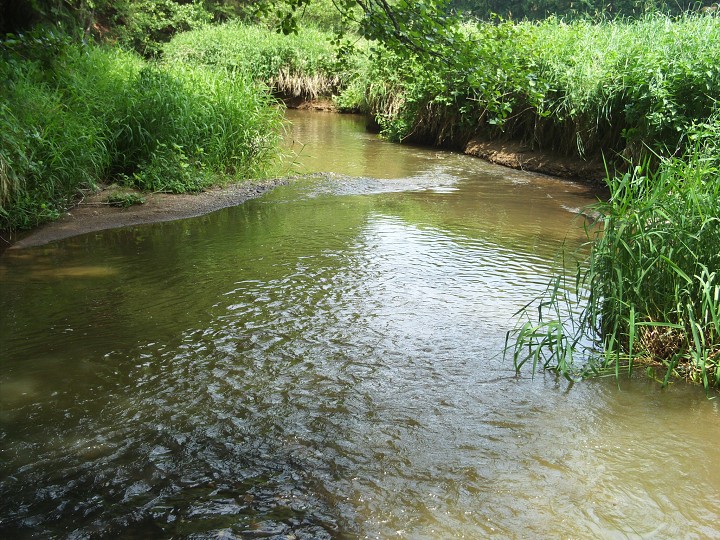 img00076.jpg