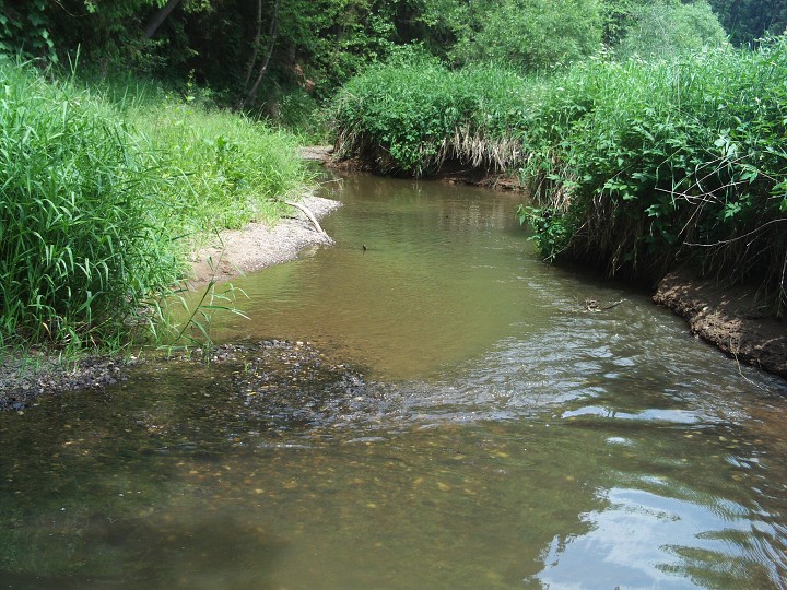 img00077.jpg