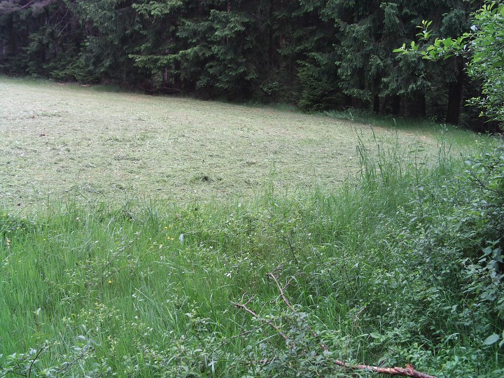 img00078.jpg