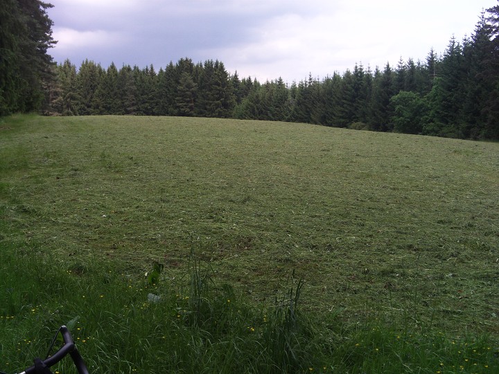 img00079.jpg