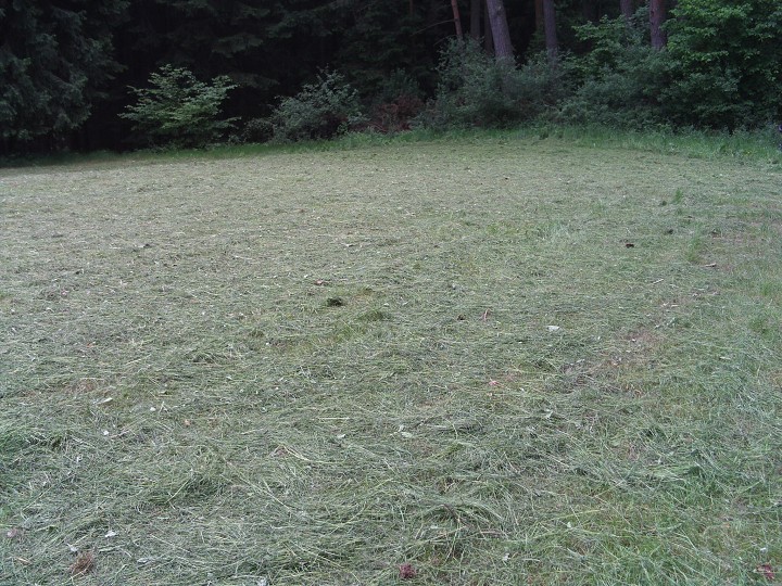 img00080.jpg