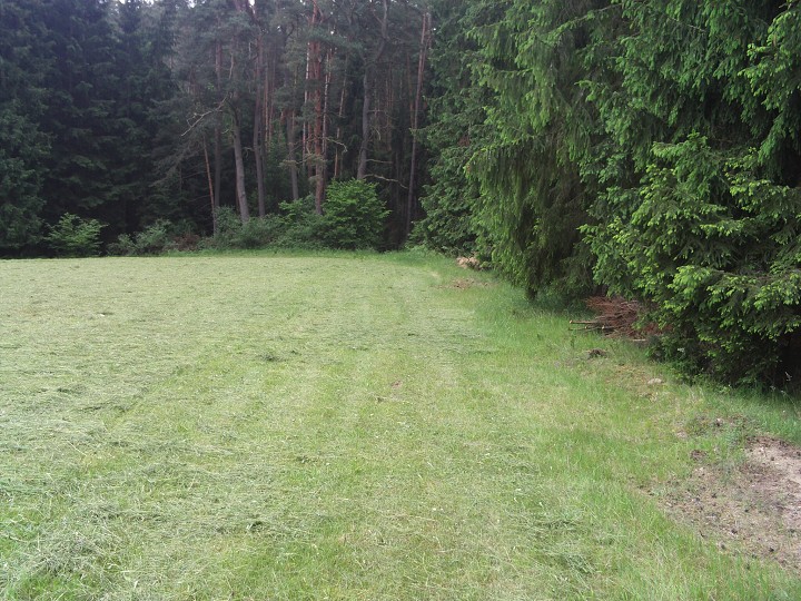 img00082.jpg