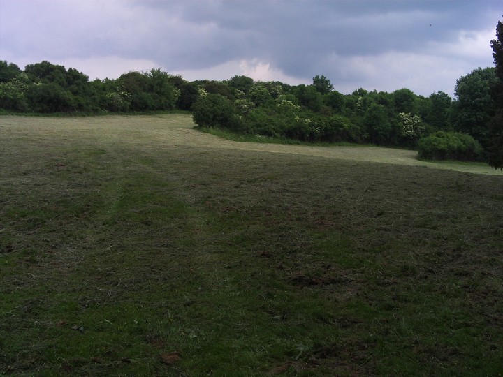 img00085.jpg