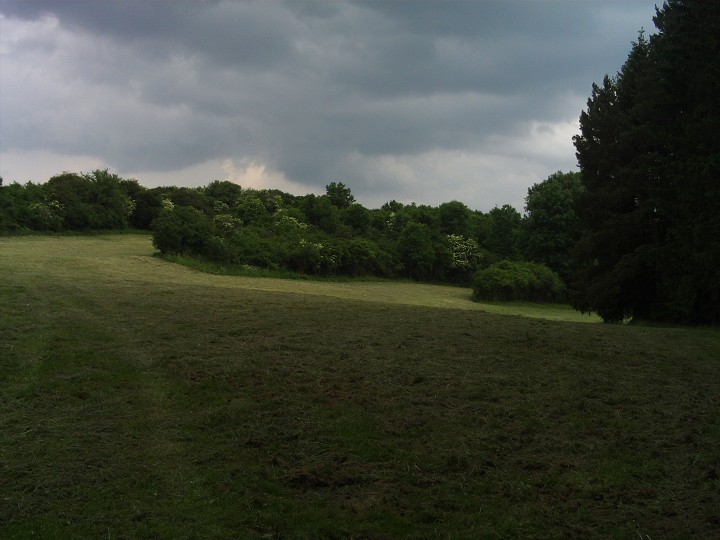 img00086.jpg