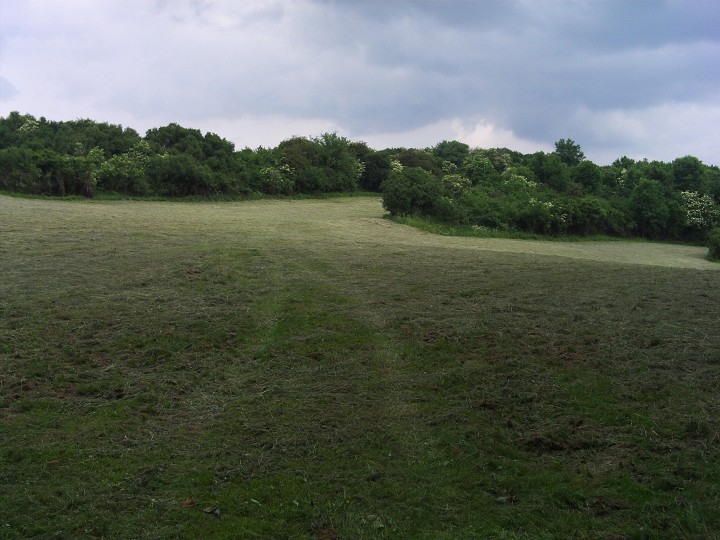 img00087.jpg