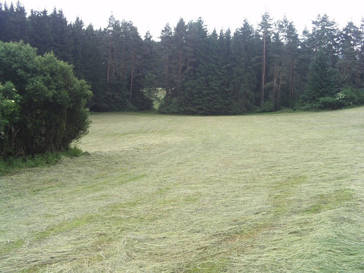 img00088.jpg