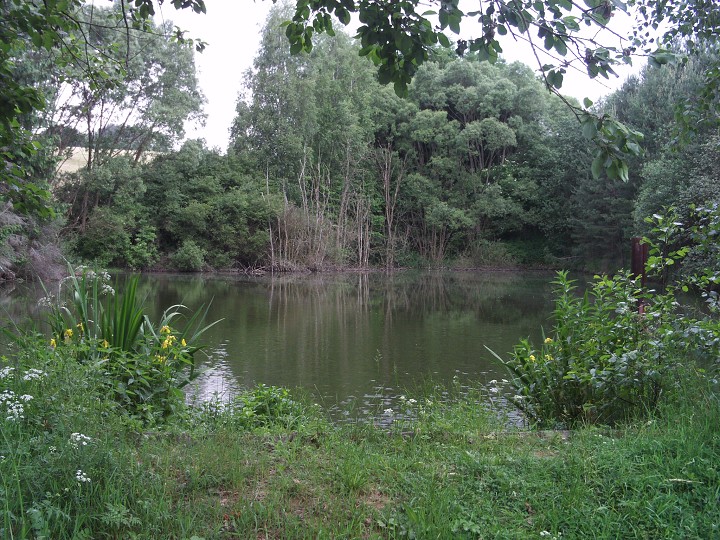 img00089.jpg
