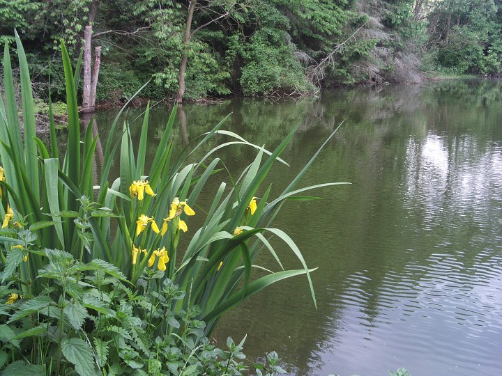img00090.jpg