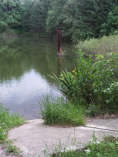 img00091.jpg