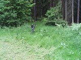 Senoaty 2008