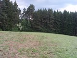 Senoaty 2008