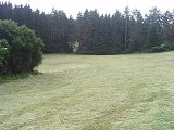 Senoaty 2008